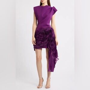 Acler Wigbeth Pleated Organza Overlay Mini Dress in Deep Ruby 4